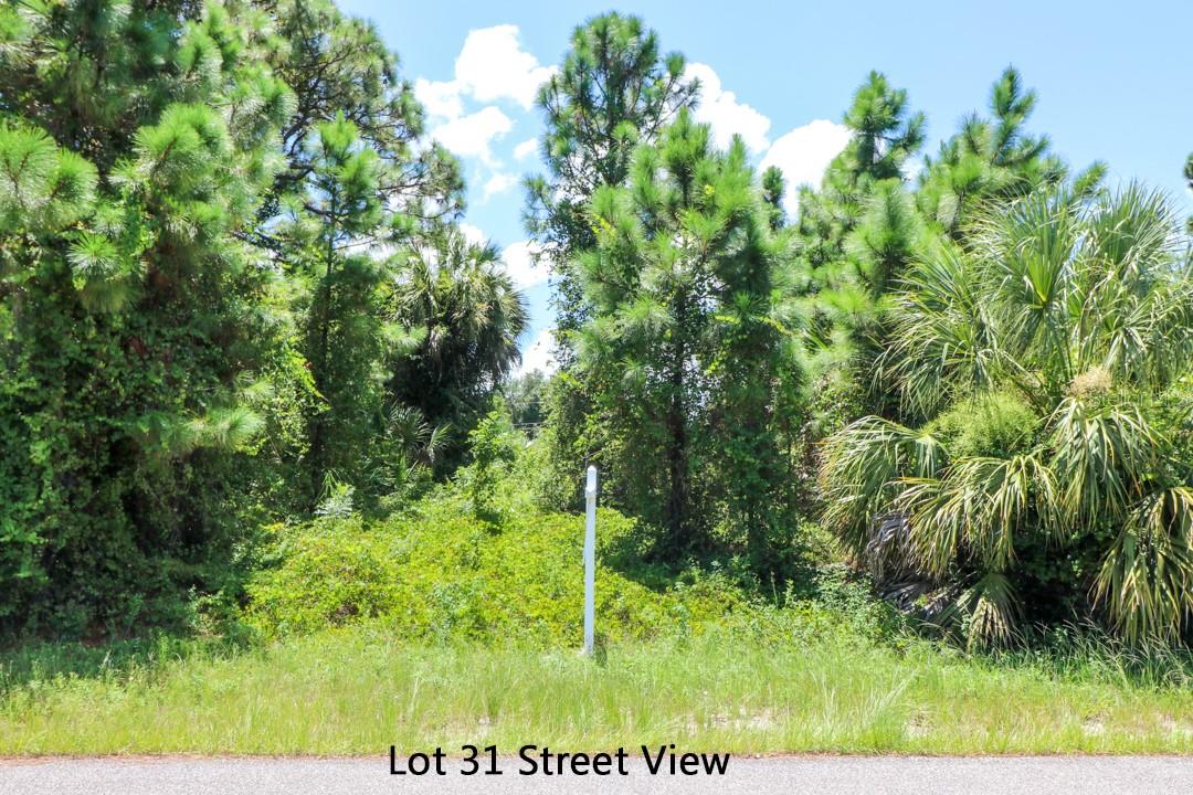 LOT 31 VENETIA AVE — photo 12