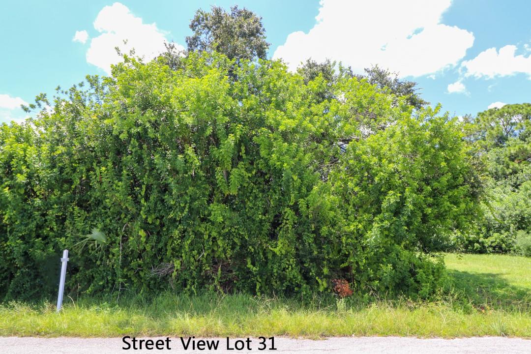 LOT 31 VENETIA AVE — photo 15