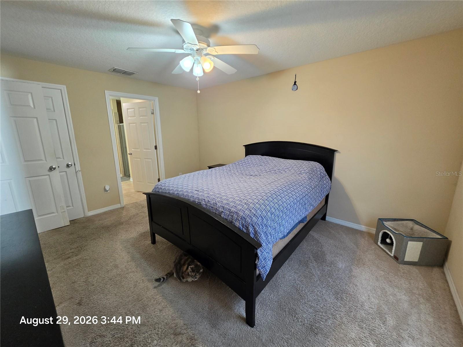37908 PRAIRIE ROSE LOOP — photo 32