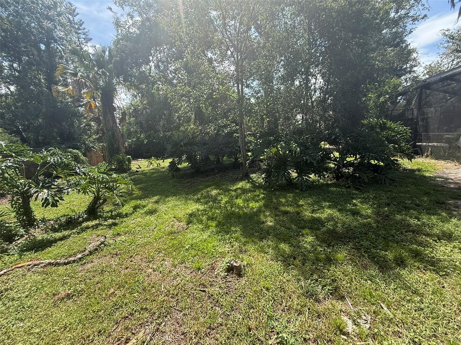 113 LOCUST DR — photo 17