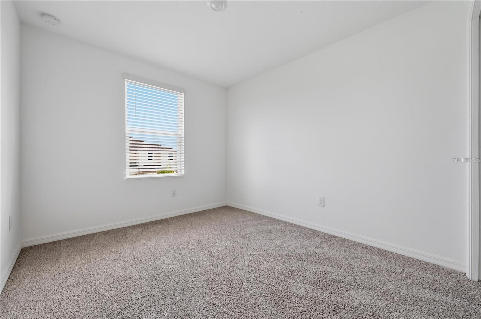 34202 POLACCA LN — photo 26
