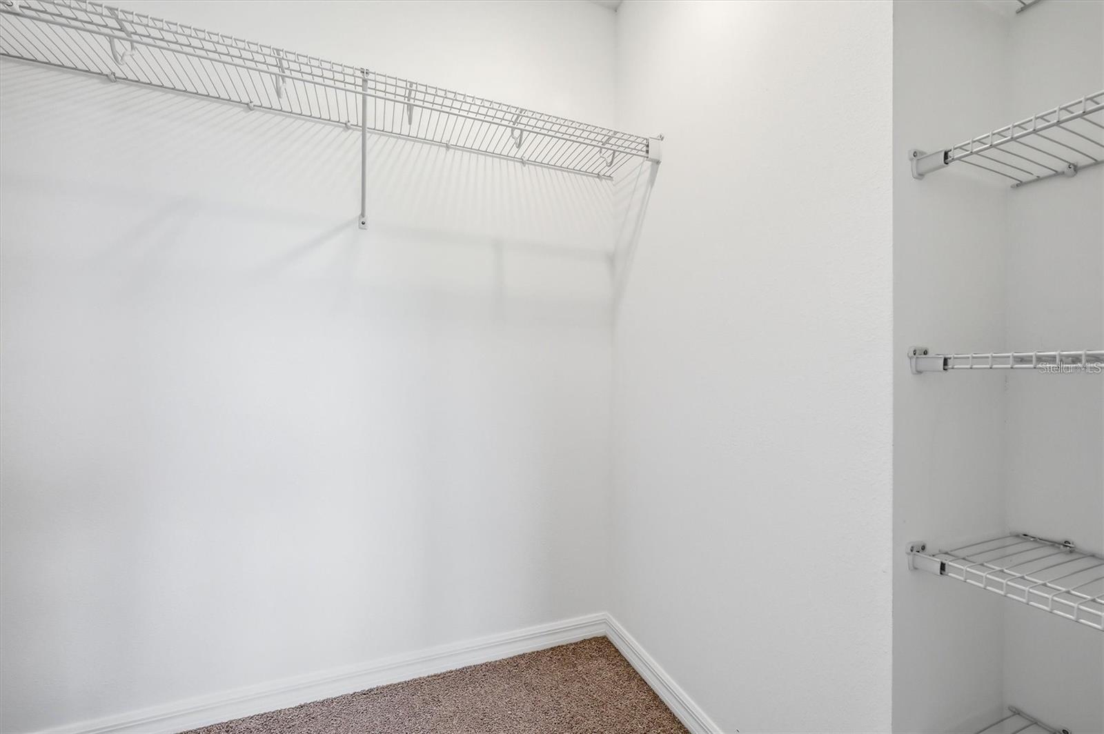 34202 POLACCA LN — photo 22