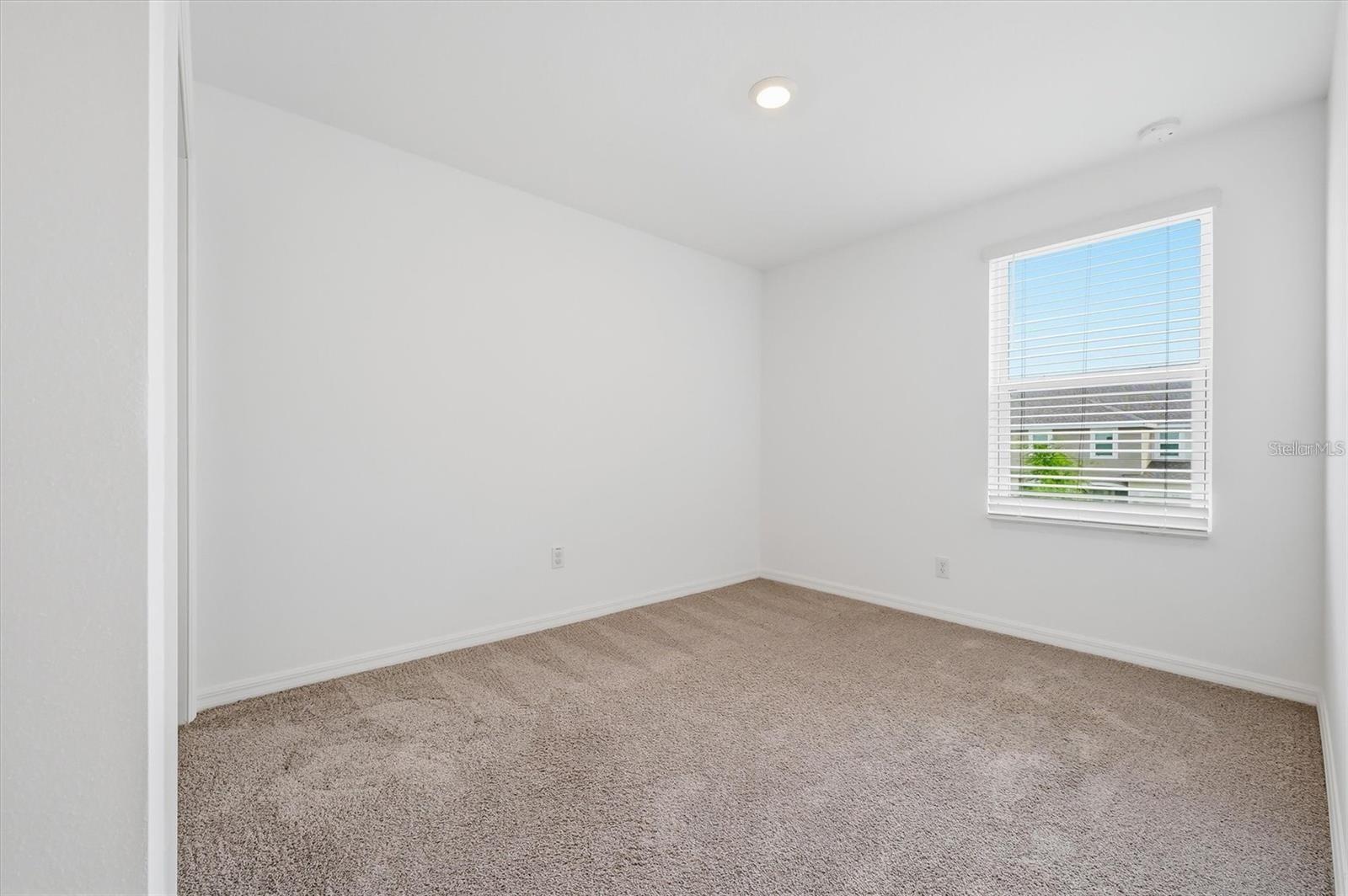 34202 POLACCA LN — photo 24