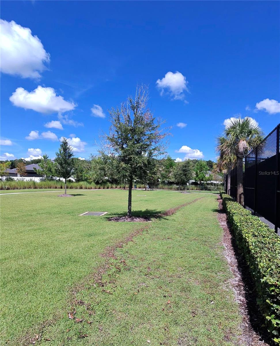 10857 RUSTIC EVE CT — photo 33