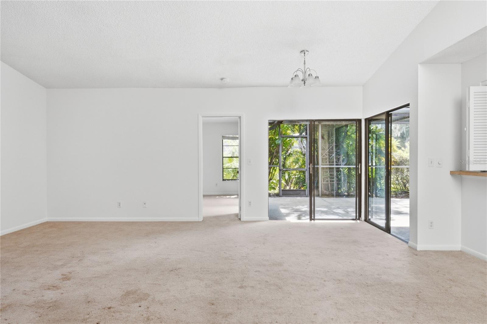 135 PINEWINDS BLVD — photo 38