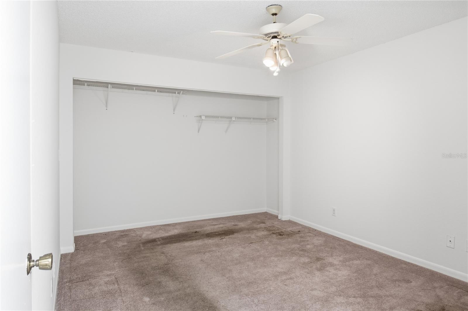 135 PINEWINDS BLVD — photo 43