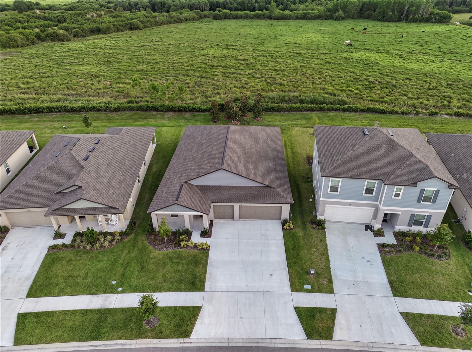 11824 BLUE DIAMOND TRL — photo 4