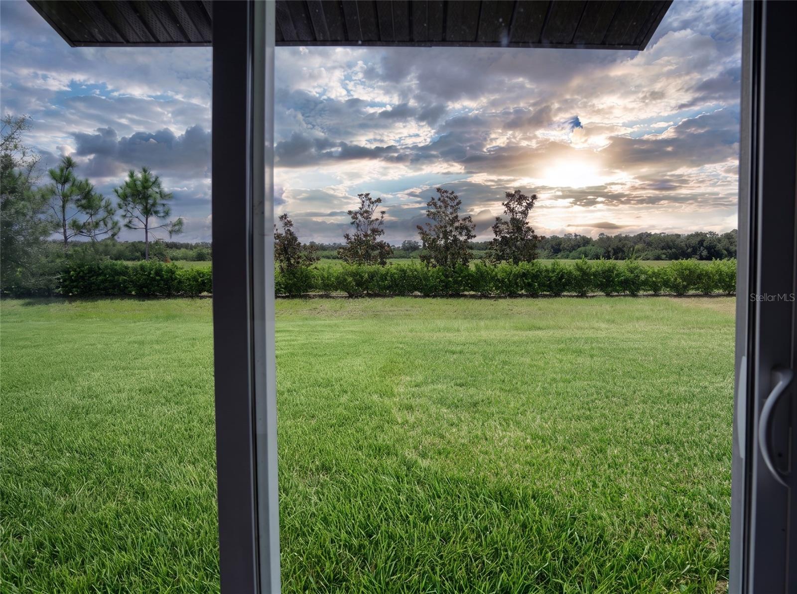 11824 BLUE DIAMOND TRL — photo 12