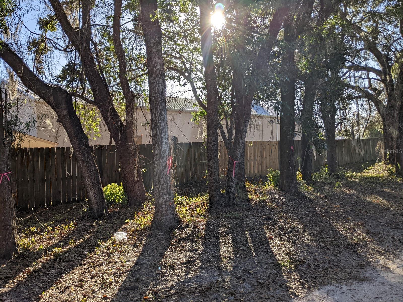 11215 DAVIS RD — photo 11