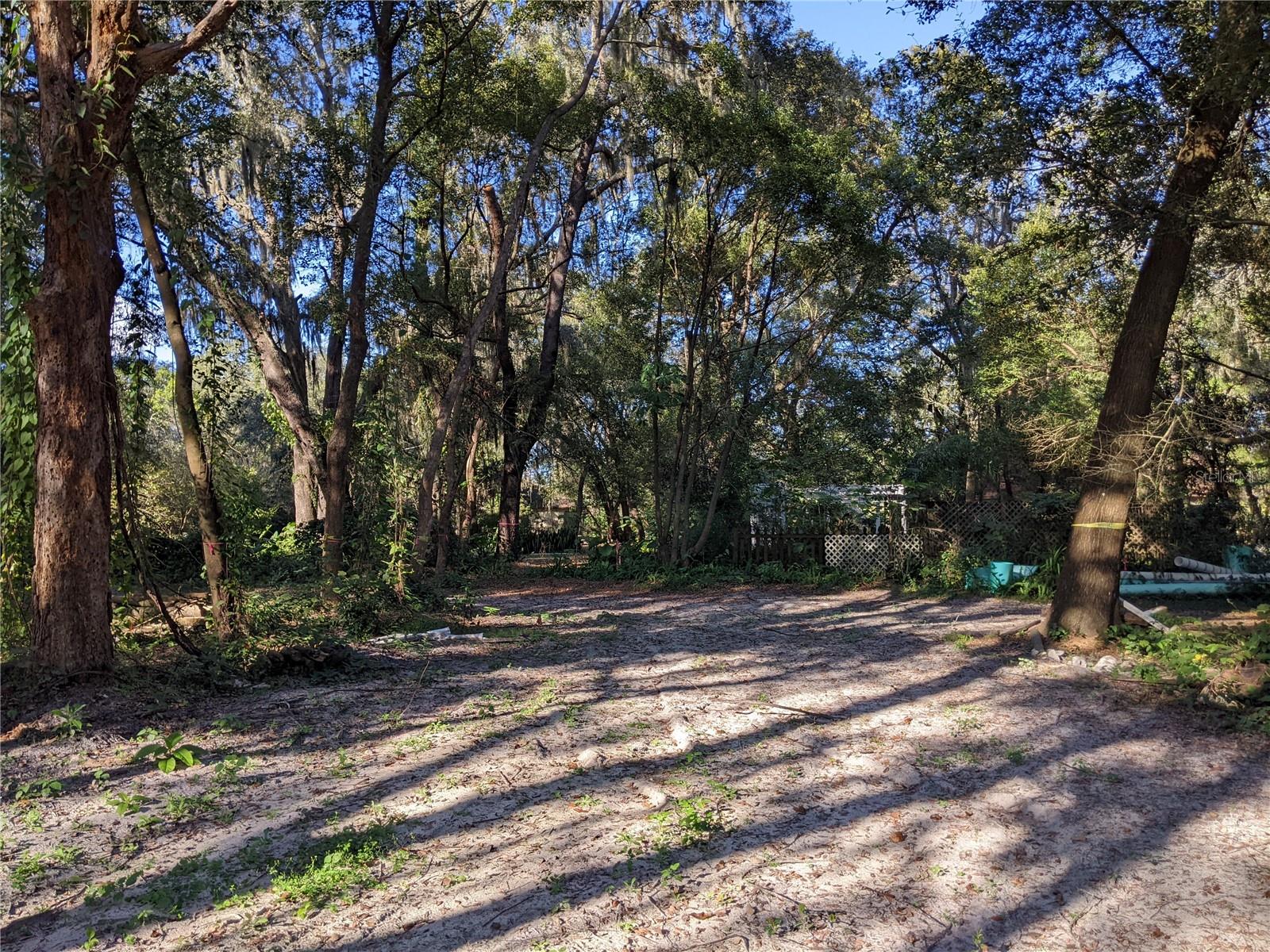 11215 DAVIS RD — photo 13
