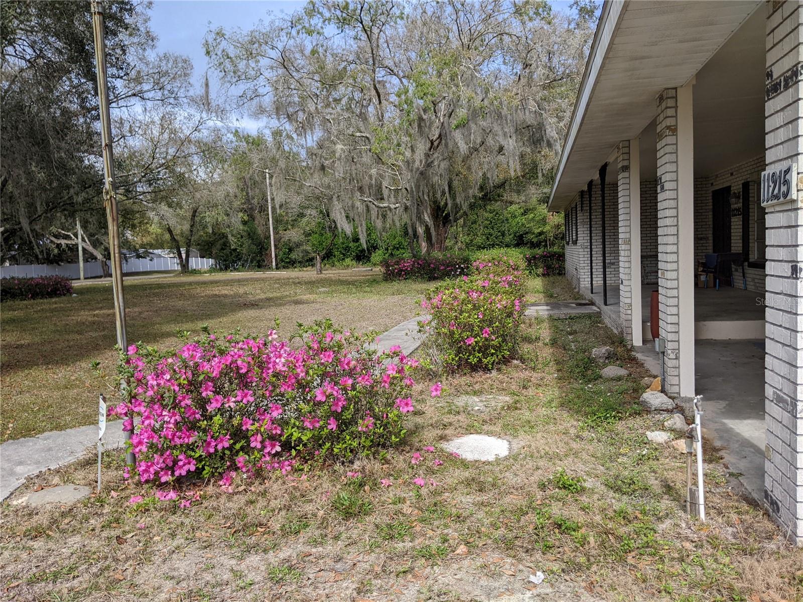 11215 DAVIS RD — photo 8