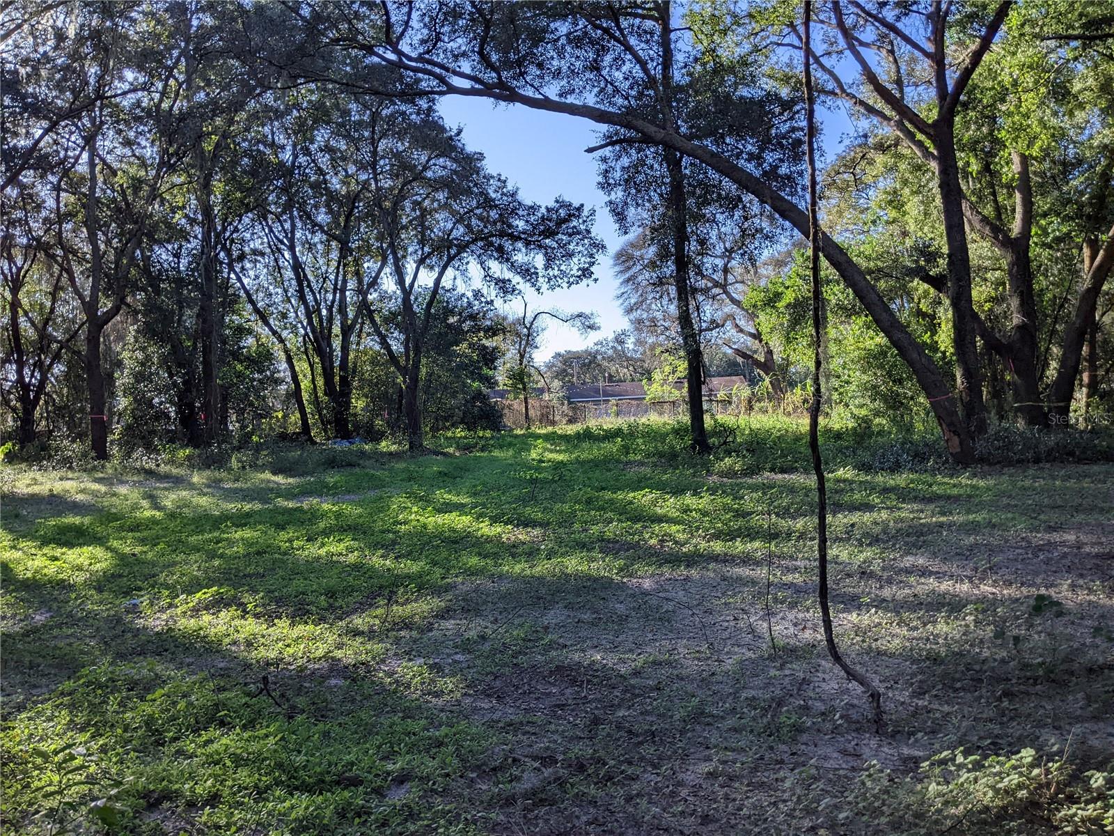 11215 DAVIS RD — photo 12