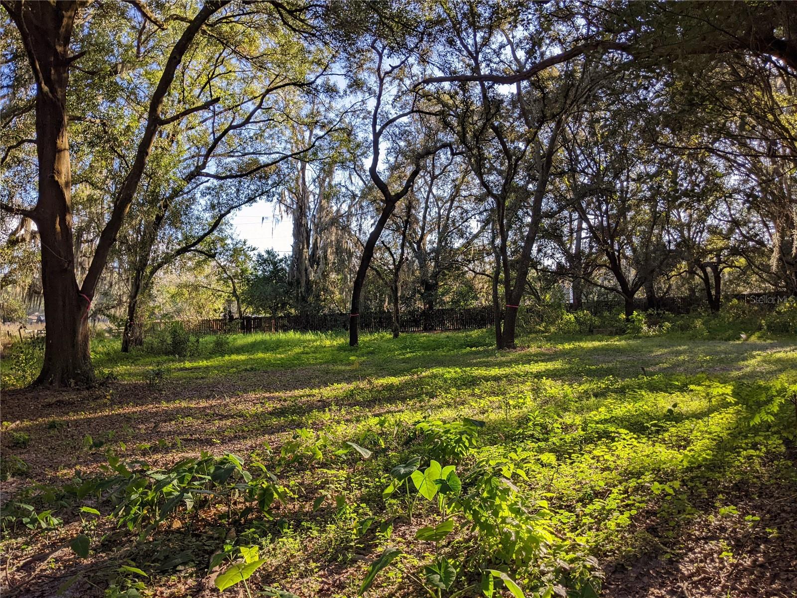 11215 DAVIS RD — photo 14