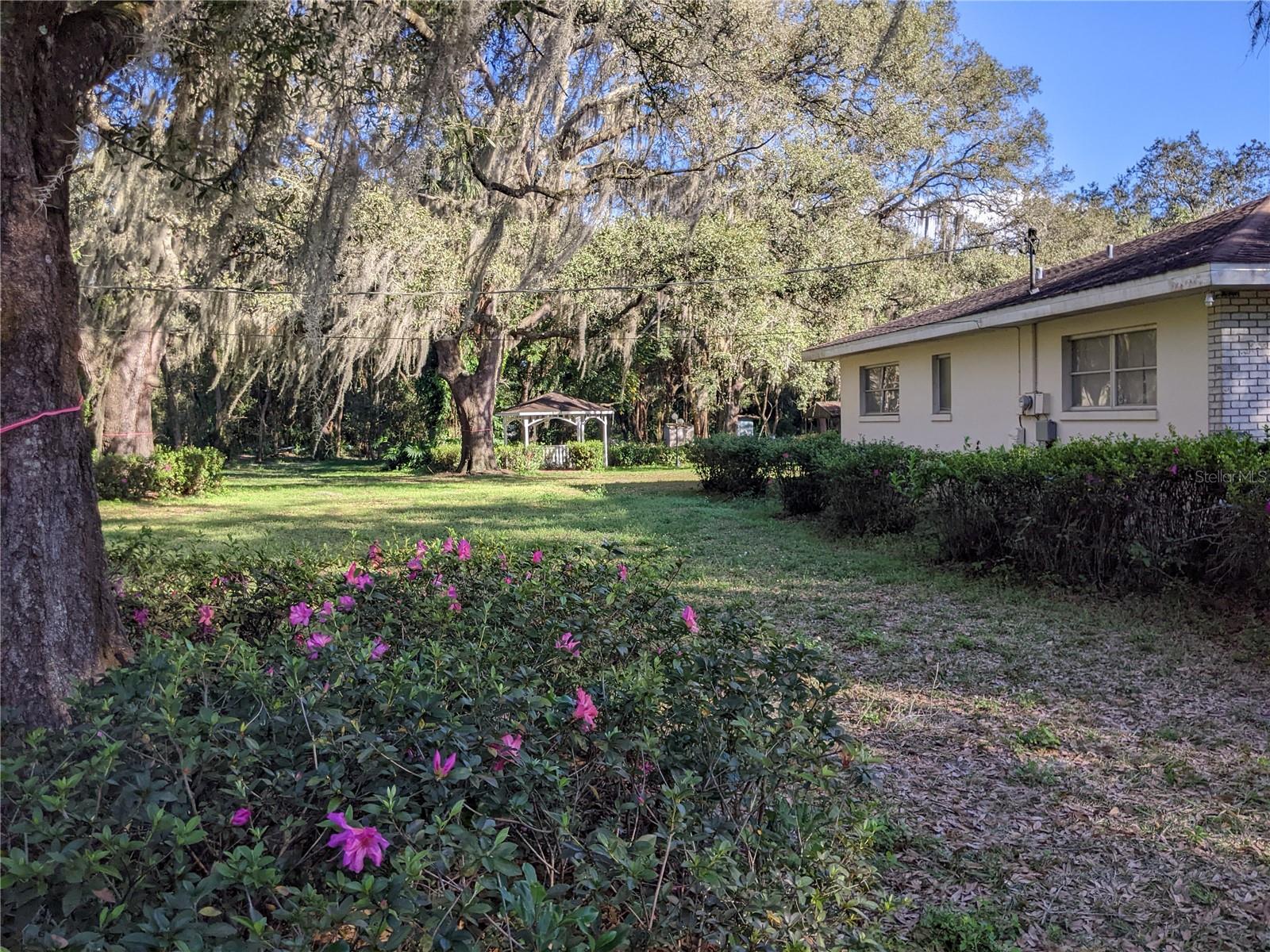 11215 DAVIS RD — photo 9