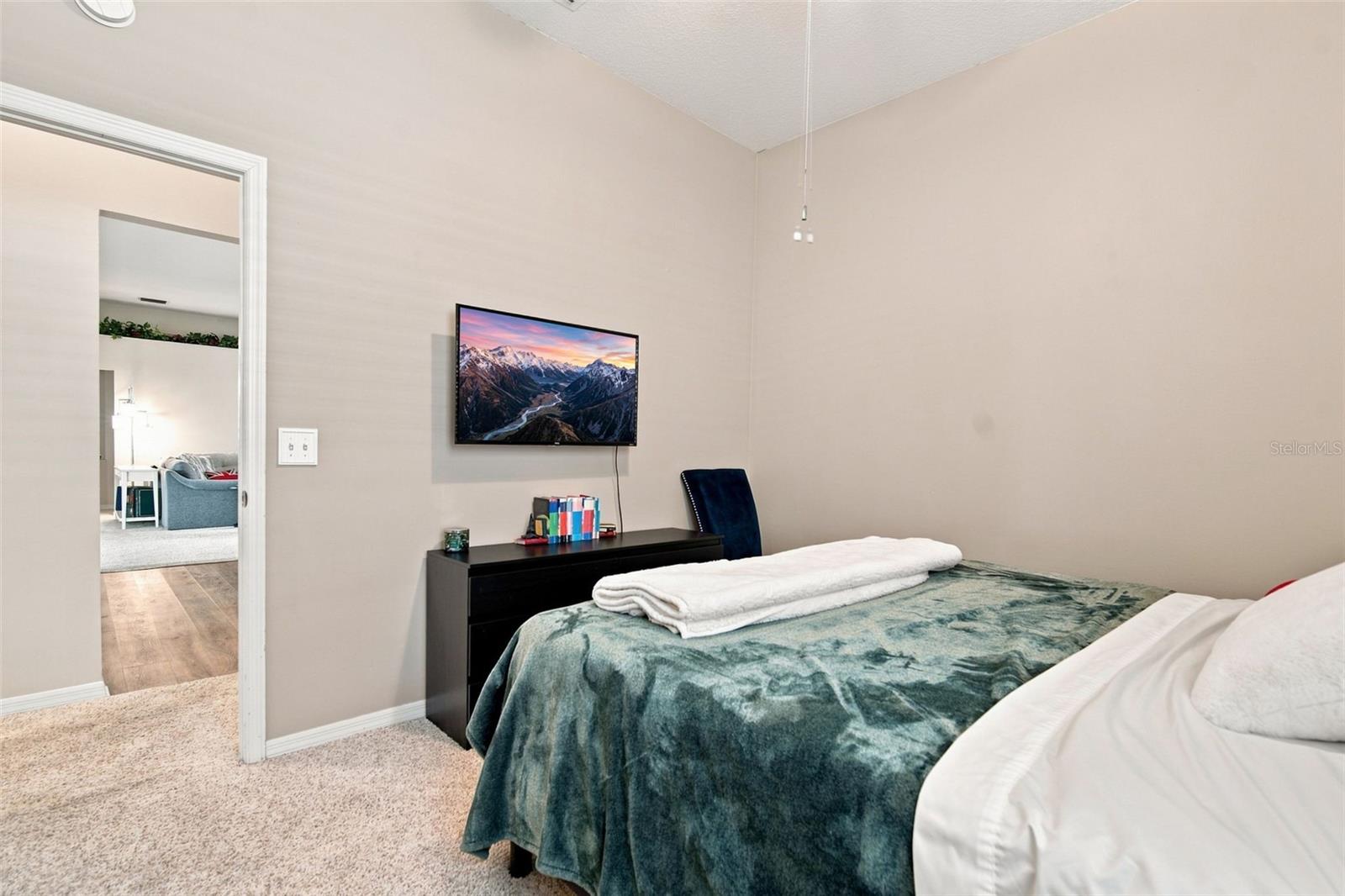 2020 ALAFIA OAKS DR — photo 19
