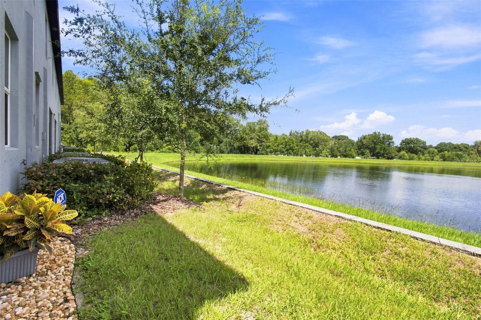 2213 CERULEAN SKY DR — photo 41