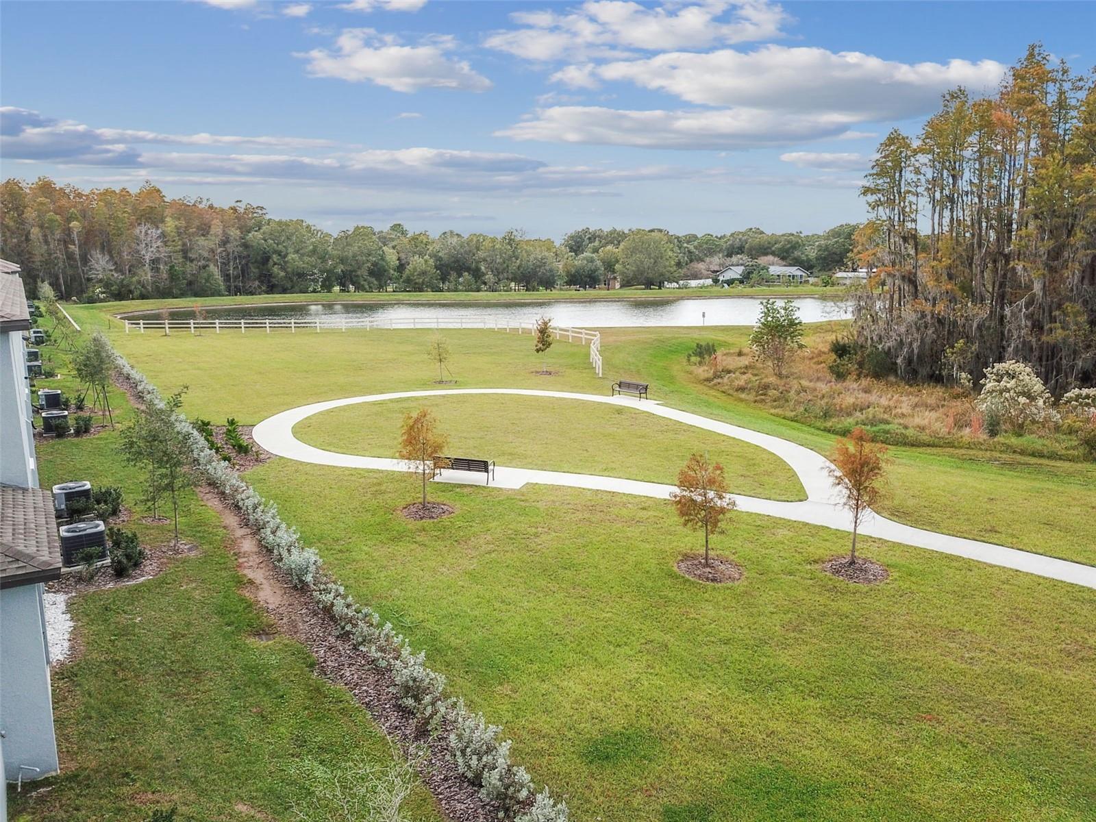 2213 CERULEAN SKY DR — photo 52