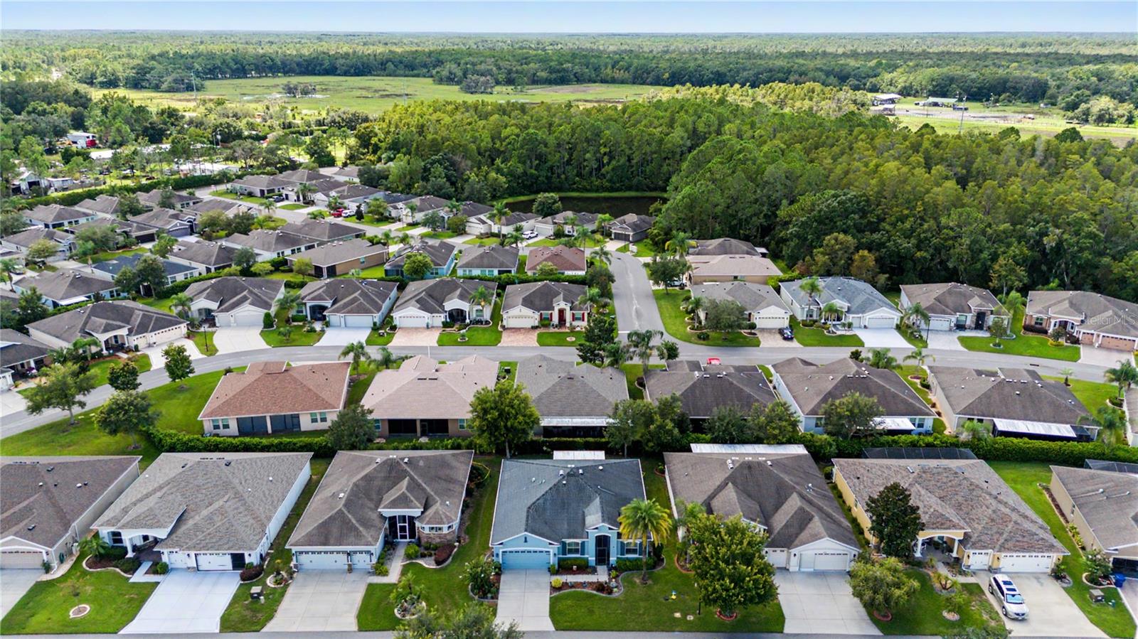 10427 HYANNISPORT LOOP — photo 42