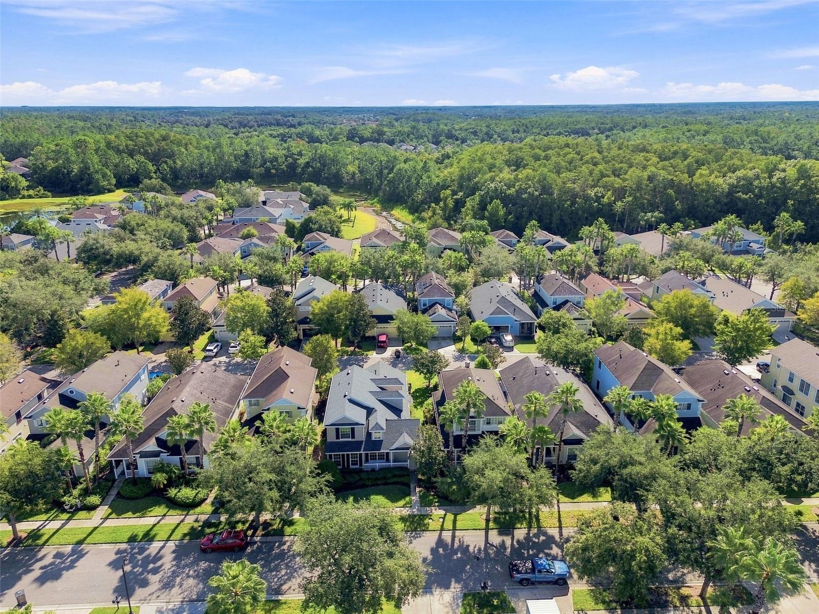 20113 BENDING CREEK PL — photo 43