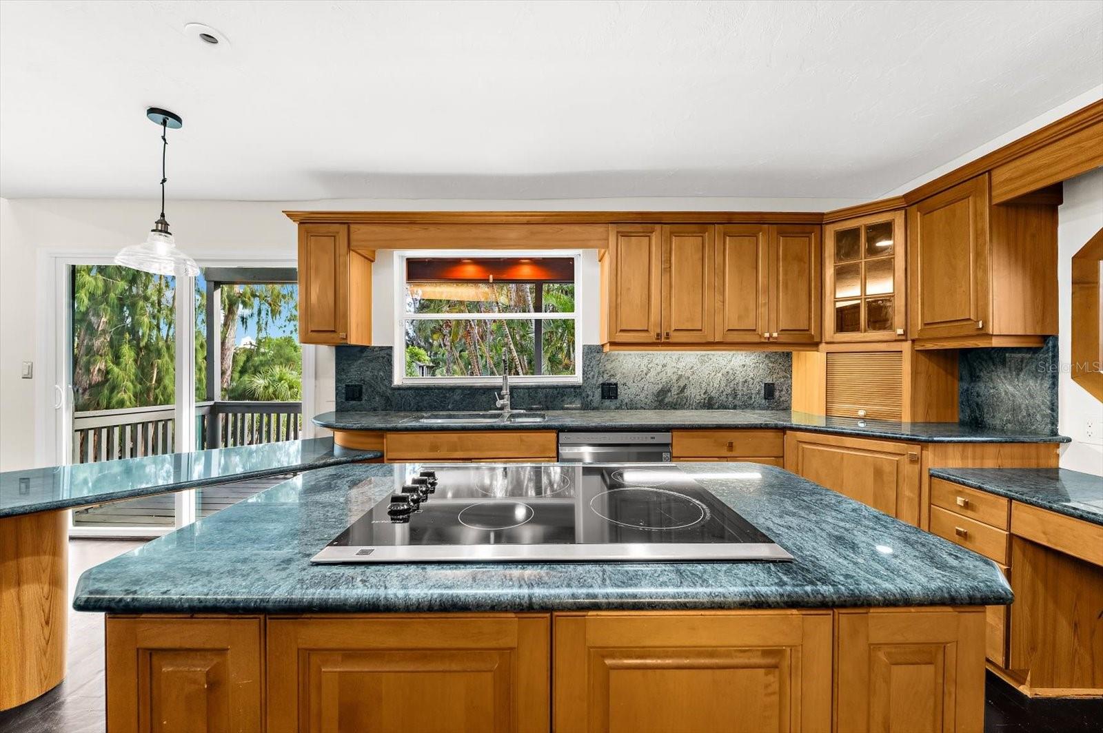 1209 SEA PLUME WAY — photo 4