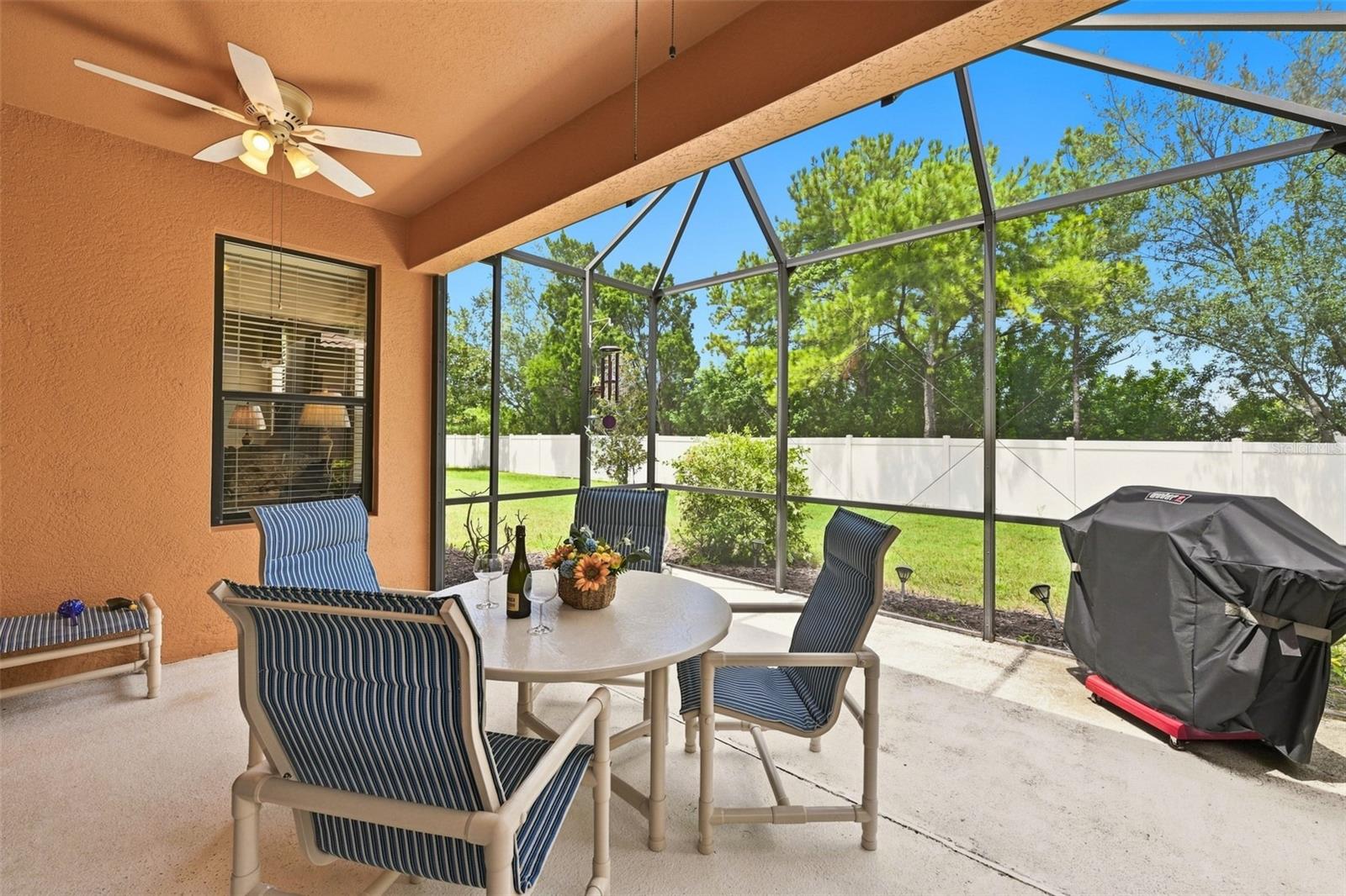 229 SILVER FALLS DR — photo 23
