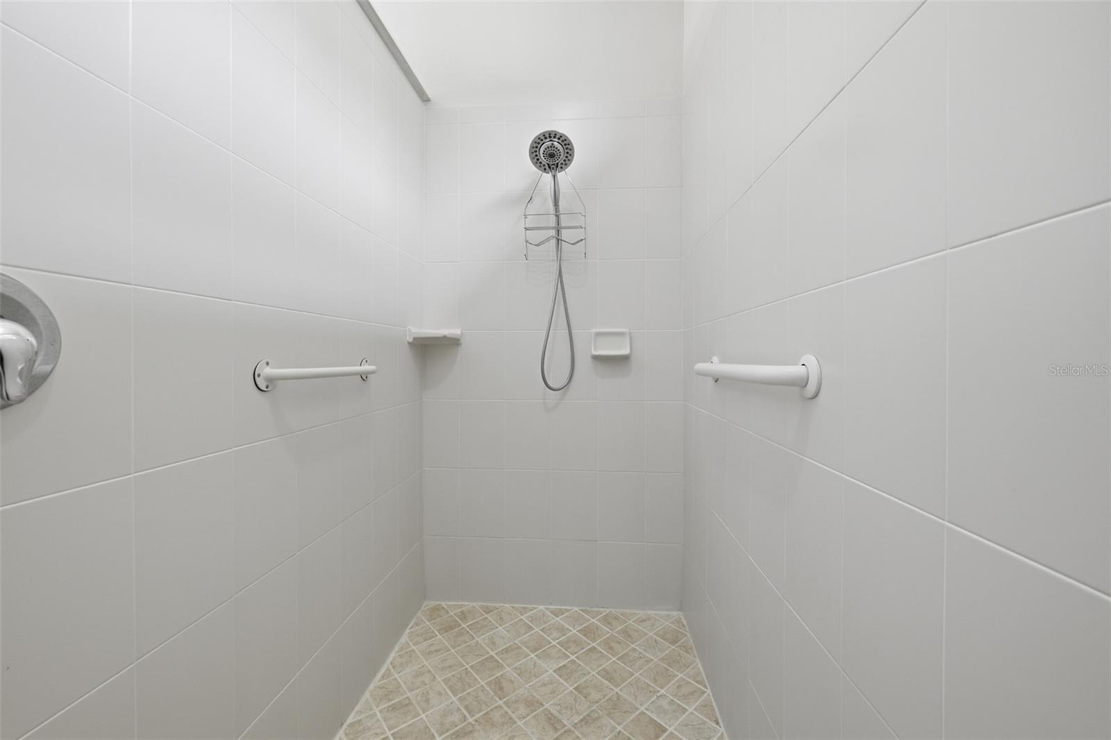 229 SILVER FALLS DR — photo 33