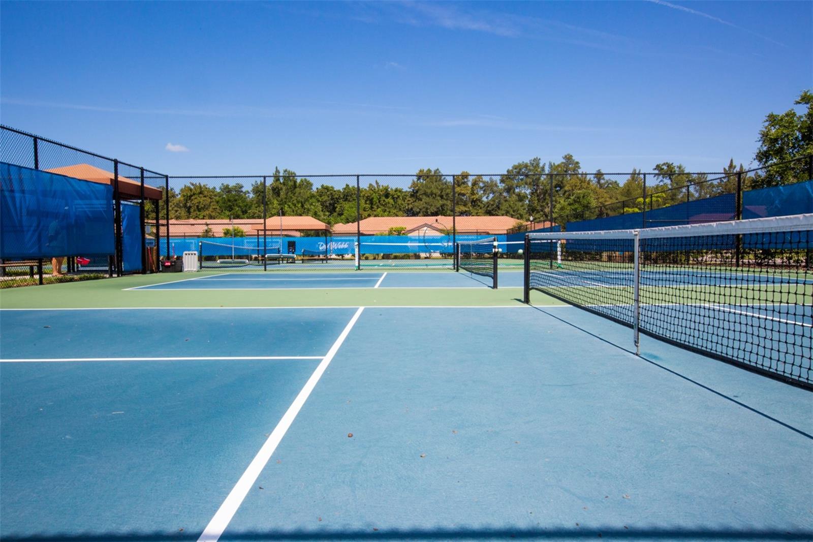 229 SILVER FALLS DR — photo 74