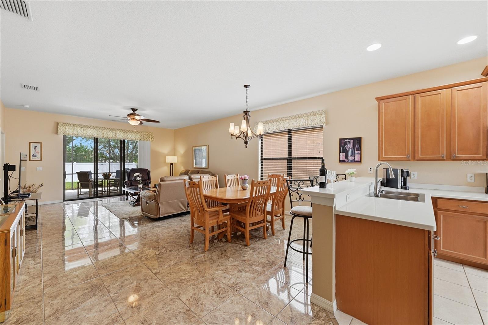 229 SILVER FALLS DR — photo 15