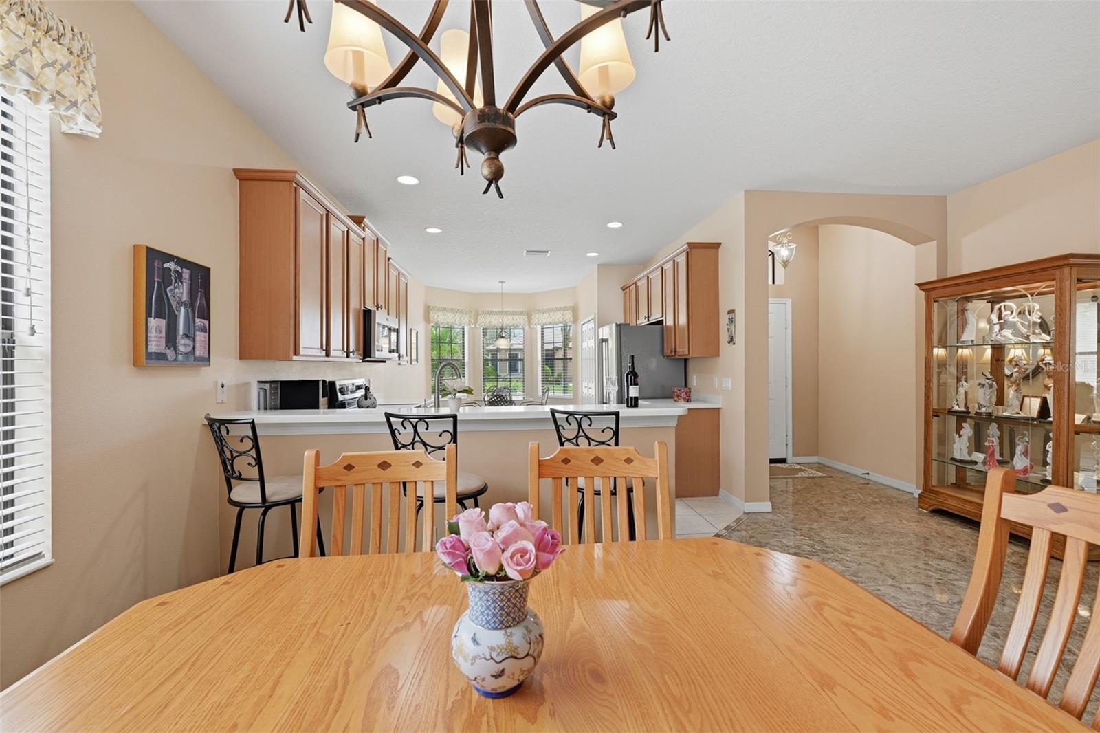 229 SILVER FALLS DR — photo 17