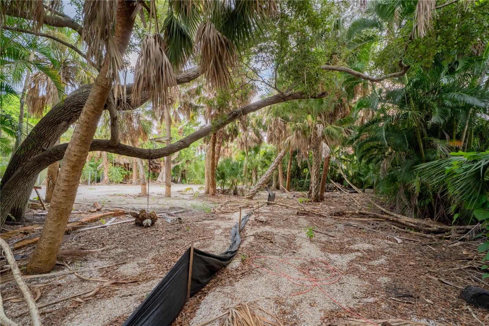 5323 CALLE FLORIDA — photo 10