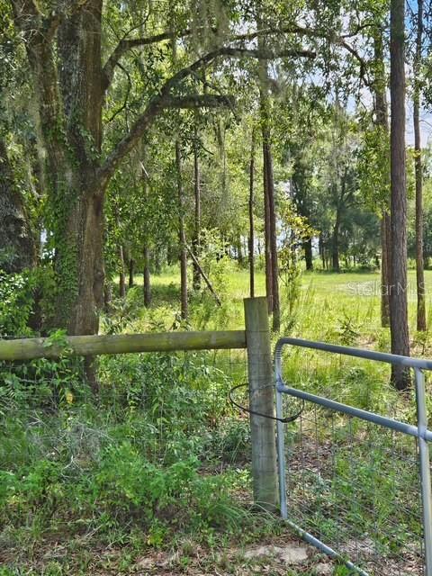 18505 HOLLOWAY LN — photo 10