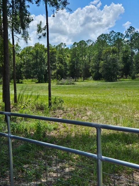 18505 HOLLOWAY LN — photo 9