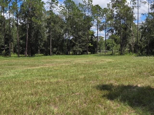 18505 HOLLOWAY LN — photo 2