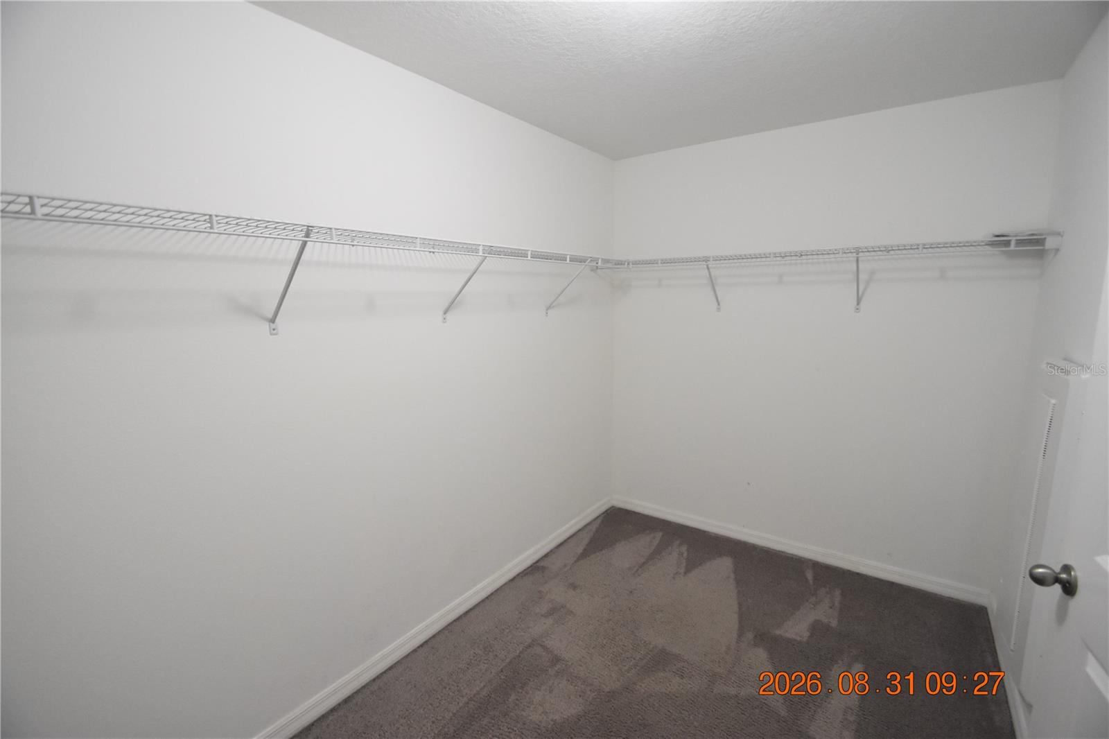 10106 ROSEMARY LEAF LN — photo 24