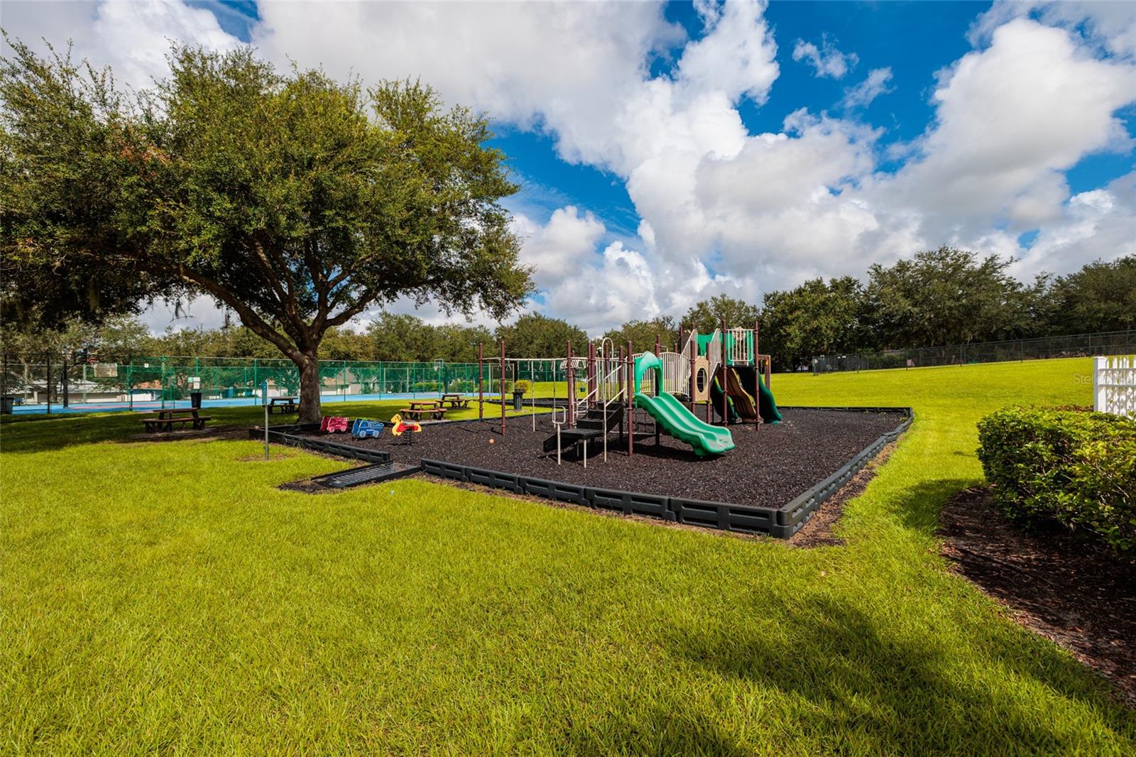 3513 PINE TOP DR — photo 47