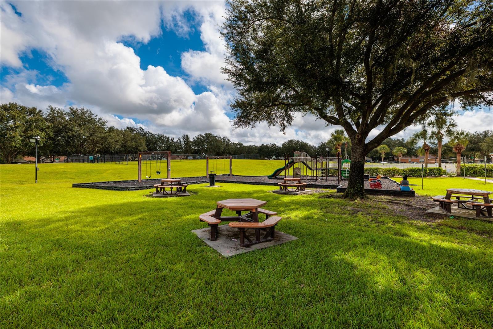3513 PINE TOP DR — photo 48