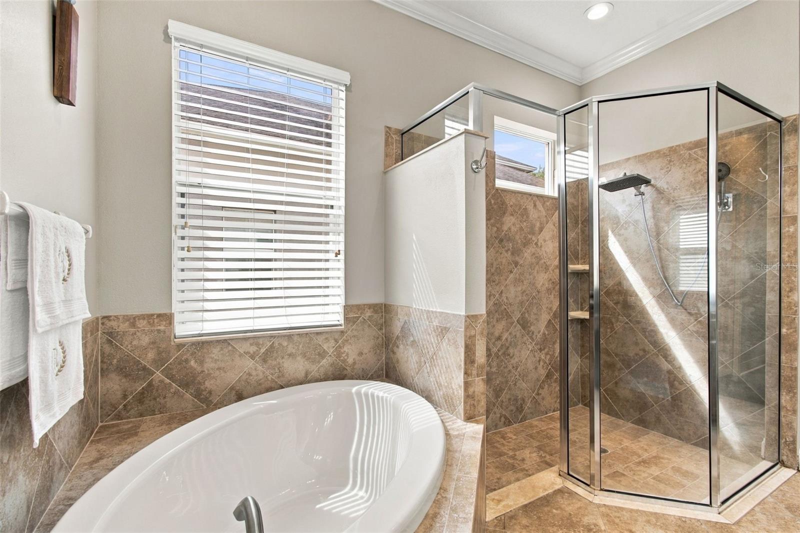 3339 DIAMOND FALLS CIR — photo 43
