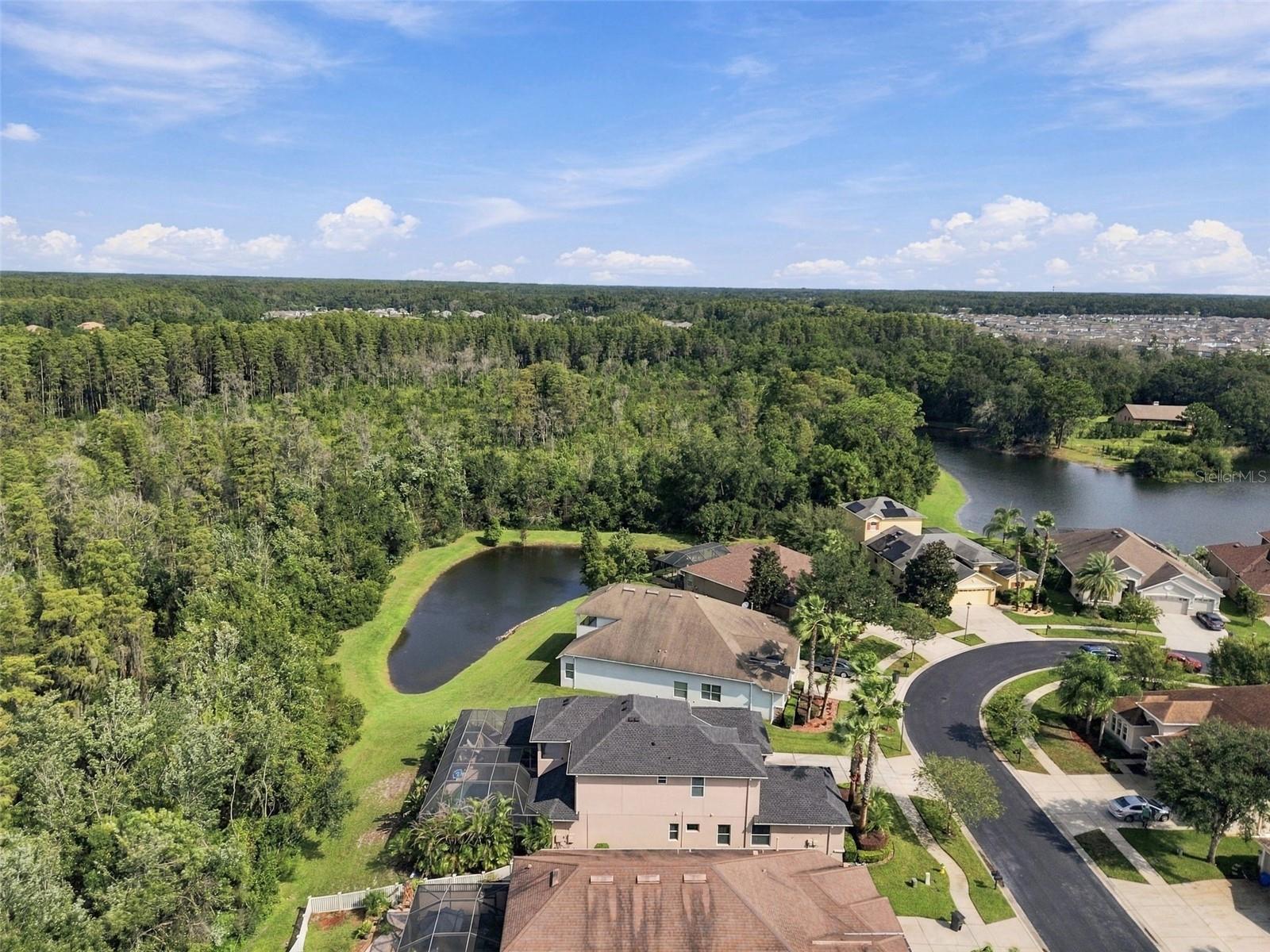 3339 DIAMOND FALLS CIR — photo 83