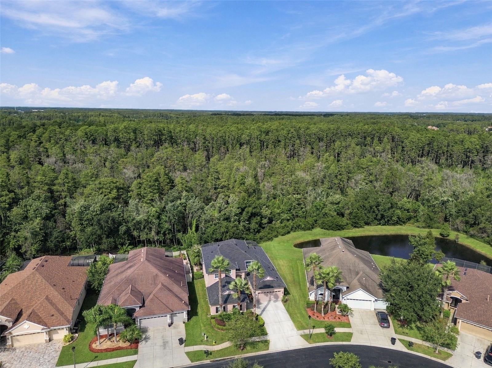 3339 DIAMOND FALLS CIR — photo 84