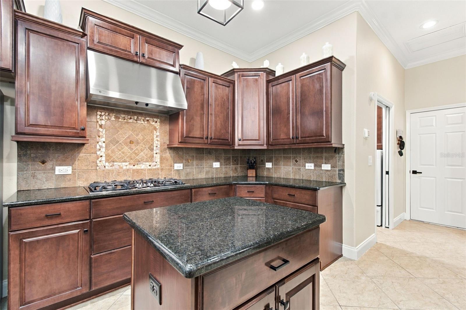 3339 DIAMOND FALLS CIR — photo 20