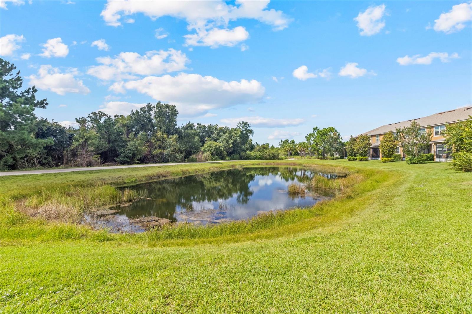 12161 TRAILHEAD DR — photo 47