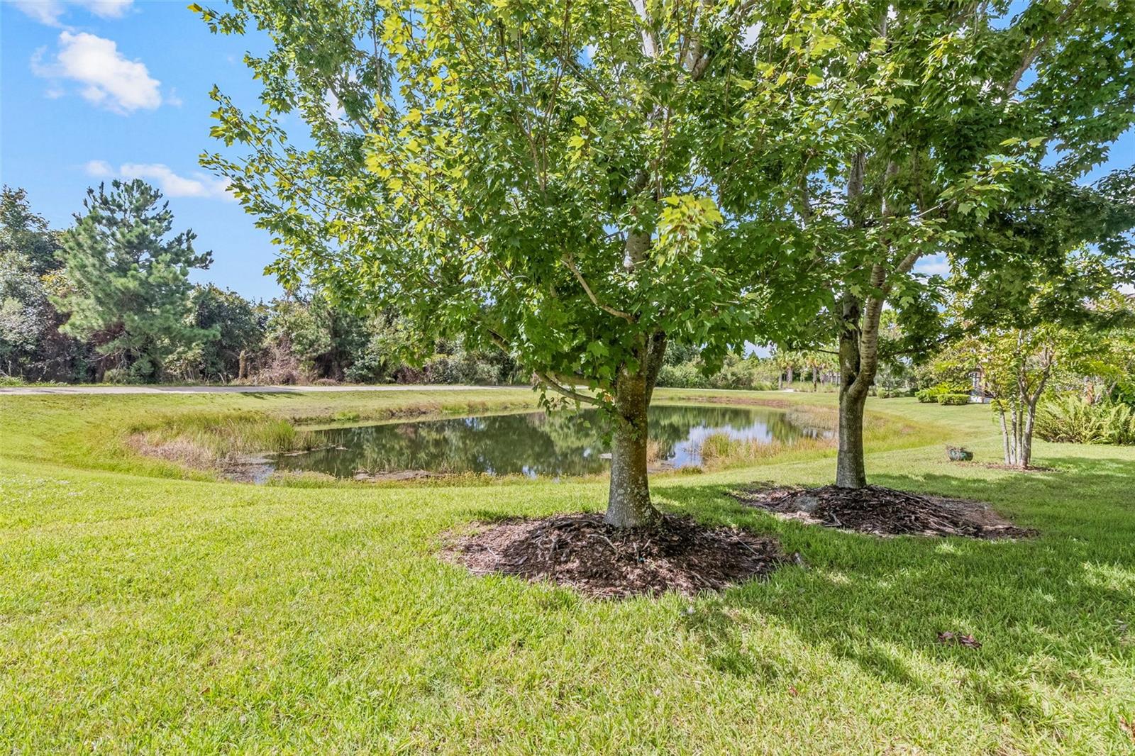 12161 TRAILHEAD DR — photo 45