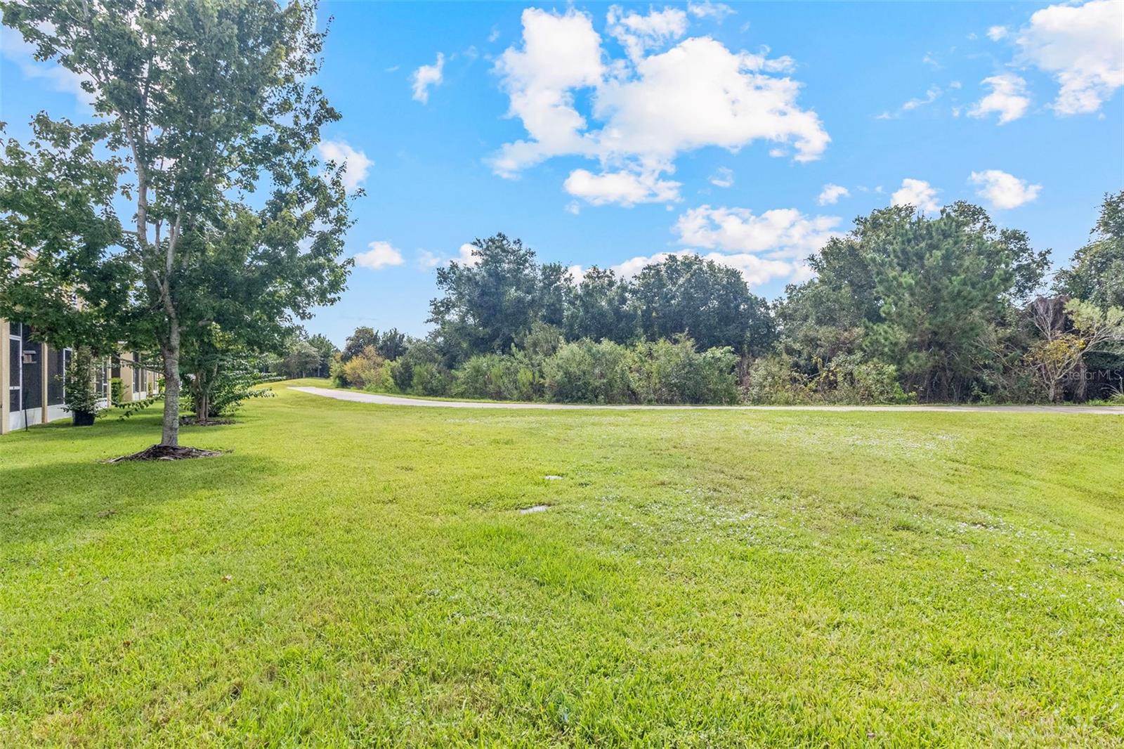 12161 TRAILHEAD DR — photo 48