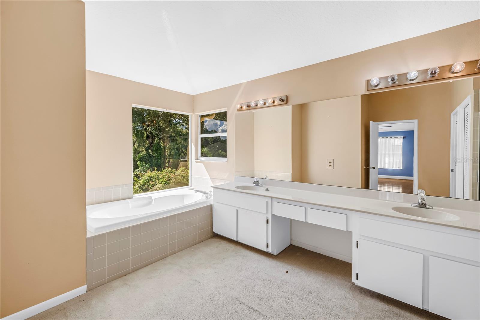 10210 VISTA POINTE DR — photo 39