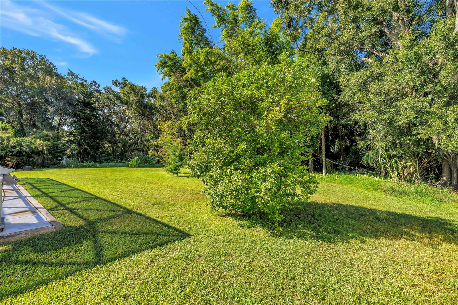 10210 VISTA POINTE DR — photo 63