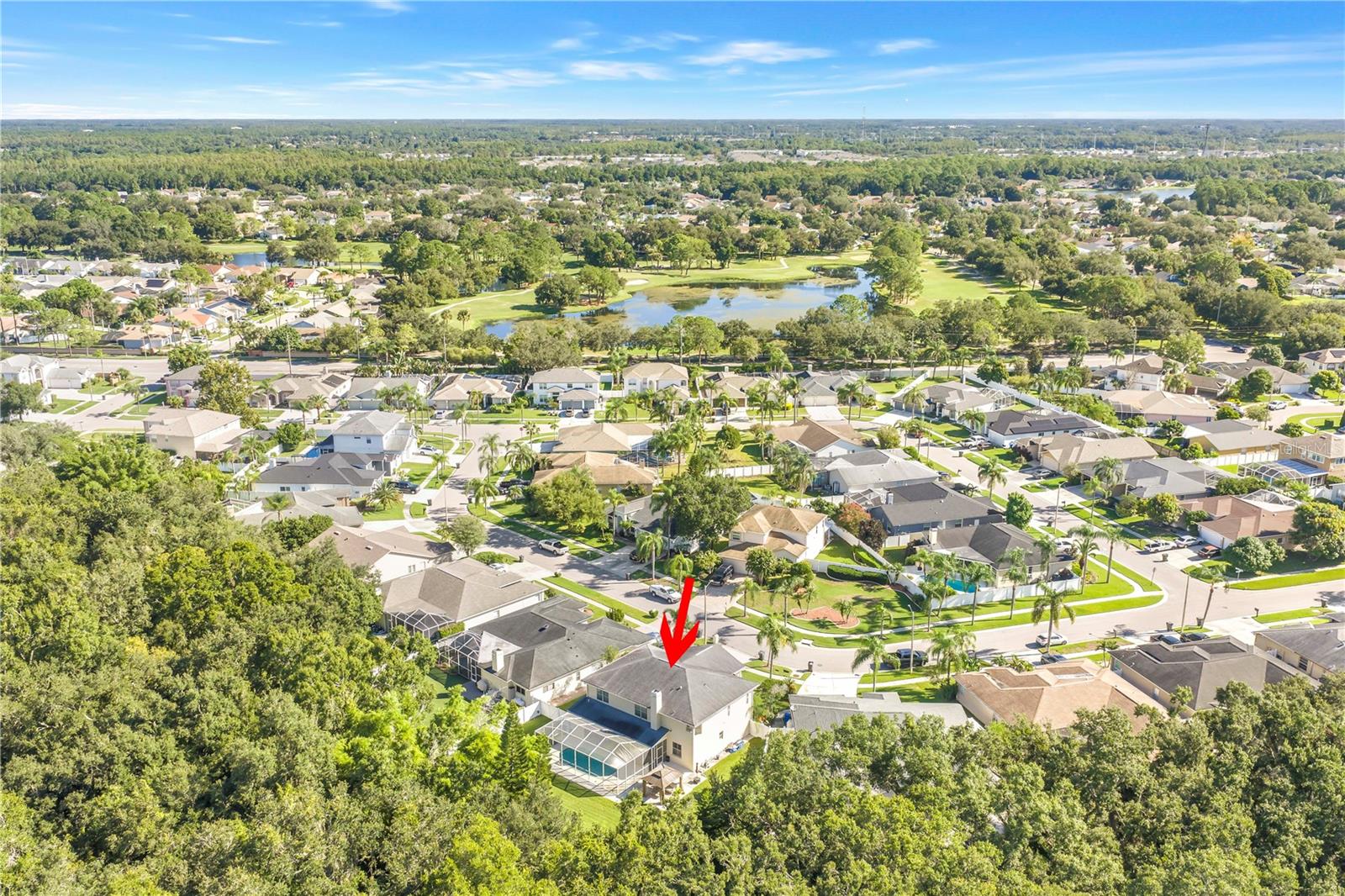 10210 VISTA POINTE DR — photo 75