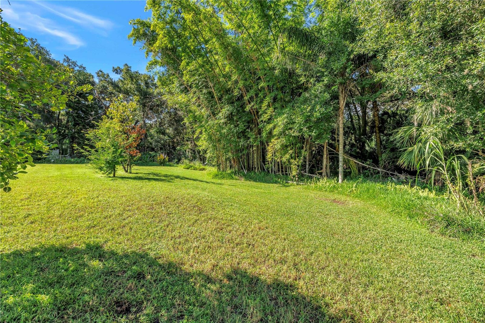 10210 VISTA POINTE DR — photo 64