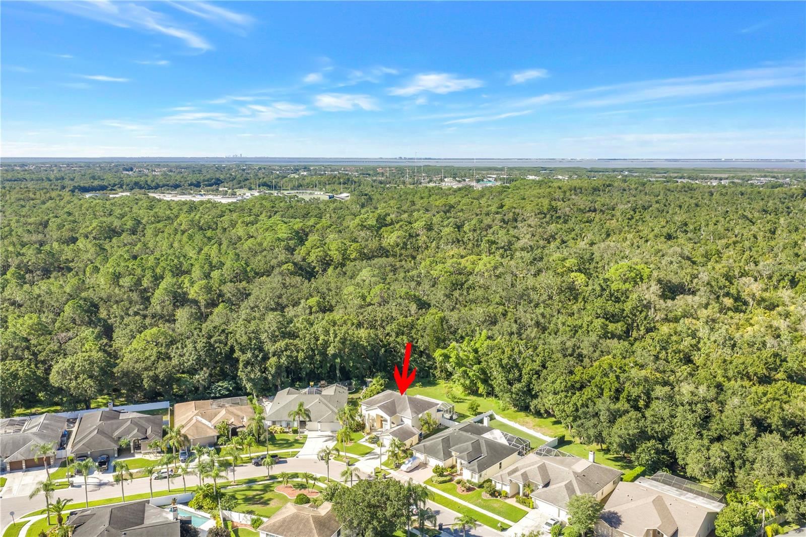 10210 VISTA POINTE DR — photo 76