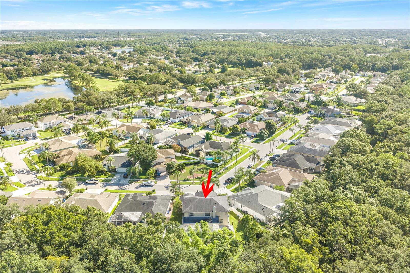 10210 VISTA POINTE DR — photo 74