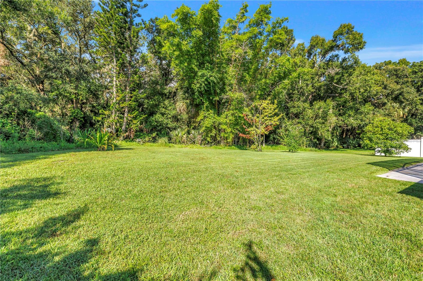 10210 VISTA POINTE DR — photo 71